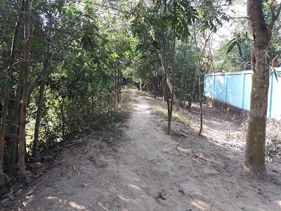 Photos of Rabeya Palace