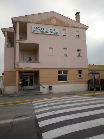 Photos of Hotel Avenida Del Sotillo