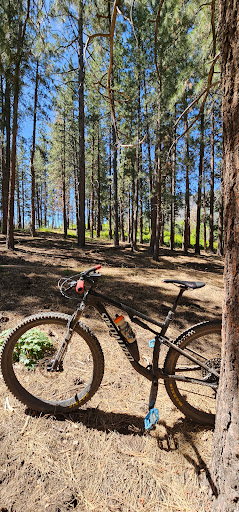 Pine Forest Trailhead - Visual
