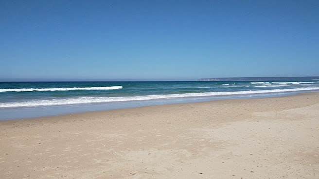 Avenida Playa by null