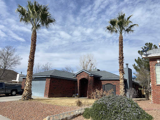 Beavers Tree Services - Visual
