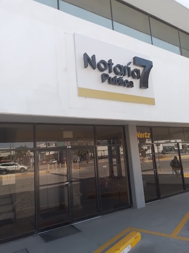 Notaria Publica 7