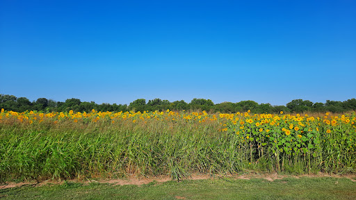 Greystone Disc Golf Course at Miller Farm Park - Thumbnail