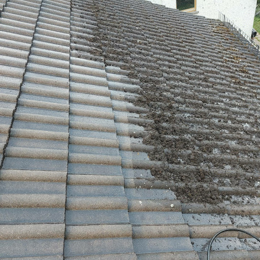 Taunus Gebäudereinigung GmbH
