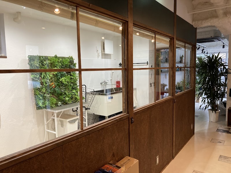 HAPPY DOG片瀬村Salon