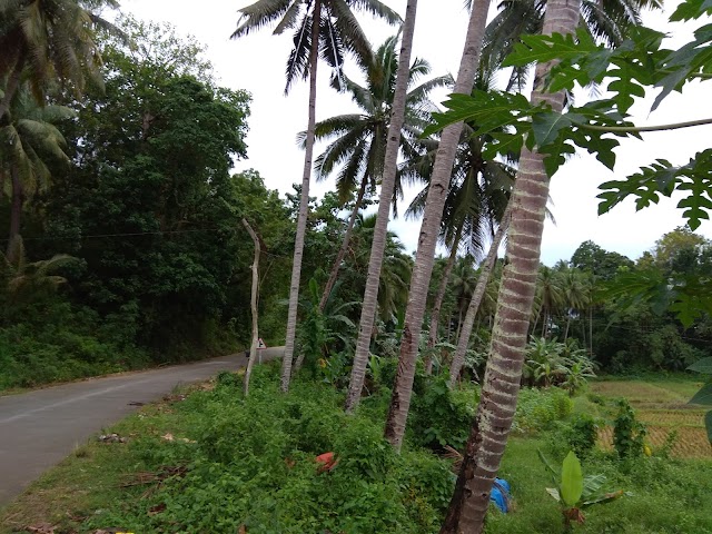 Ingkomhan Falls