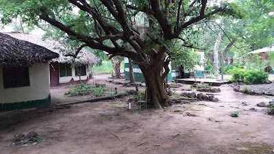 Photos of Jang Jang Burreh Camp