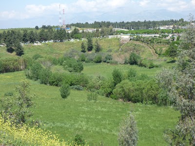 Photos of Baxi Gshti Qaladze