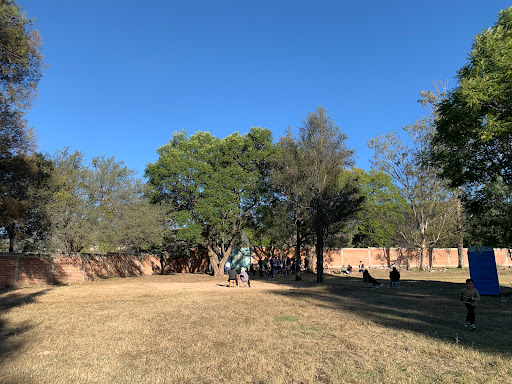Campo Deportivo De El Acebuche - Thumbnail