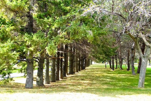 Parc René-Lévesque