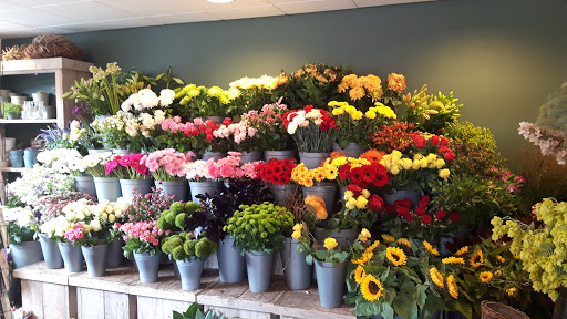 Bloemenhuis Gerbera Gallery - Netherlands