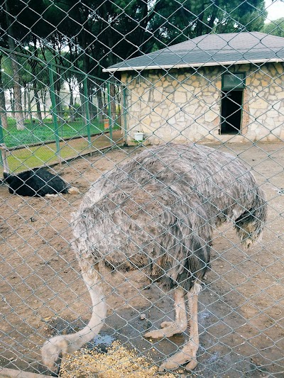 SÜMER PARK. Zoo