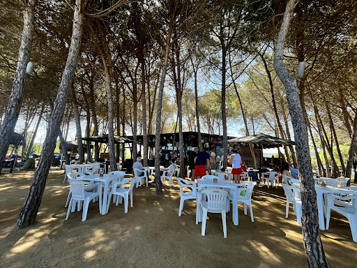Sard Cafè - Visual