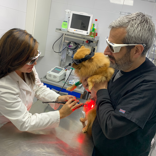 Clinica Veterinaria Mascotiti, Urgencias 24 horas