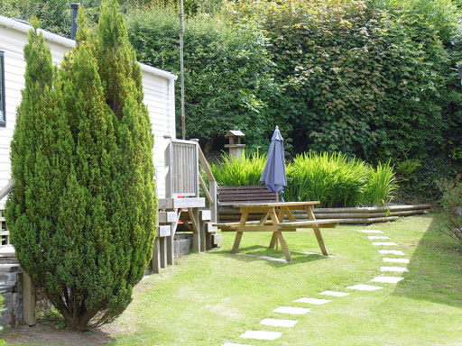 Trees Caravan Park - Thumbnail