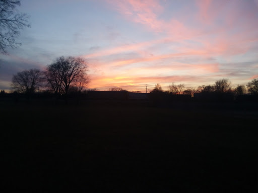Ivanhoe Park - Visual