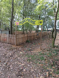 Photo n°12 de Mini-ferme des Dahlias à La Chapelle-Saint-Rémy (Ferme pédagogique)