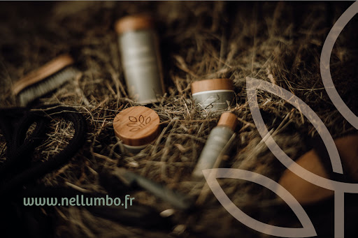 Nellumbo - Visual
