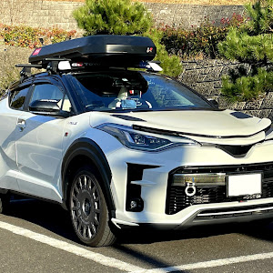 C-HR ZYX11