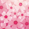 Cherry Blossom Live Wallpaper icon