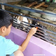 水鹿咖啡親子館