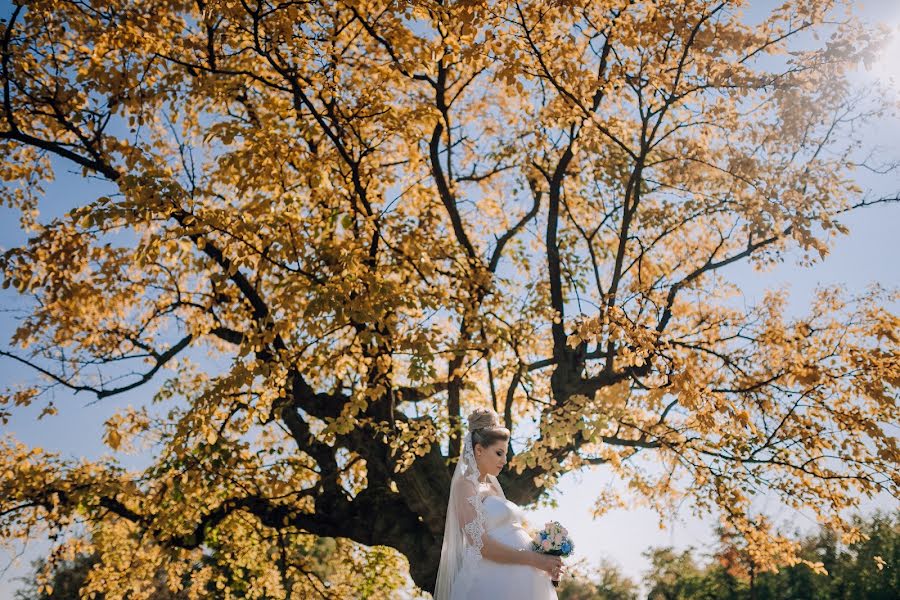 Fotógrafo de bodas Dimitri Mykhalaki (mykhalaki). Foto del 2 de enero 2019