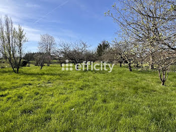 terrain à Saint-Vallier (71)