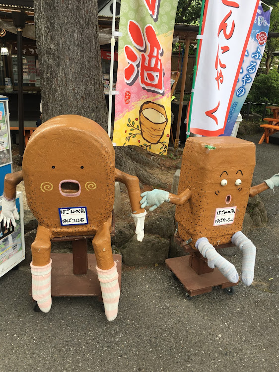 アルテッツァのローガン・みちのく一人旅に関するカスタム事例の投稿画像8枚目