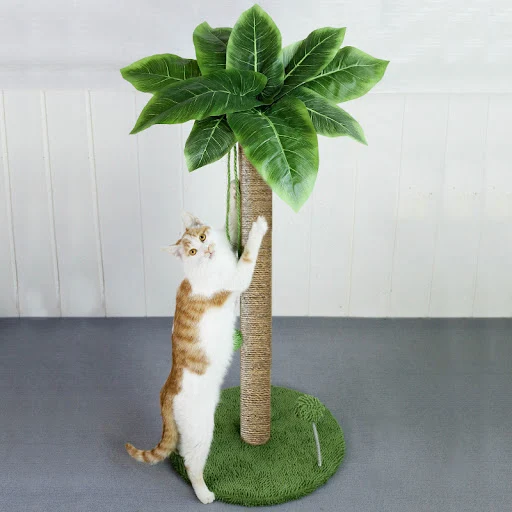Cat Scratching Post, 24