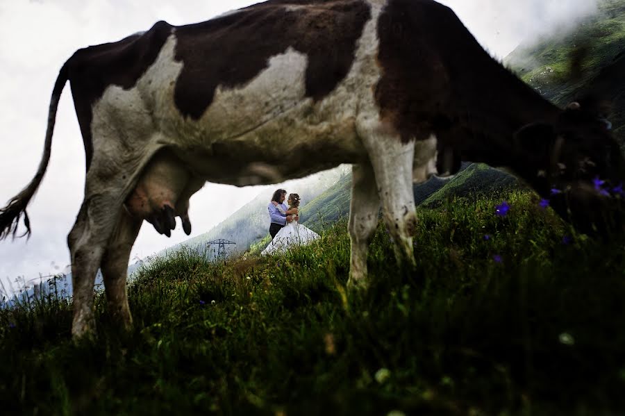 Fotografo di matrimoni Claudiu Stefan (claudiustefan). Foto del 28 giugno 2017