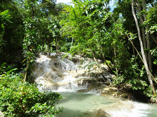 Dunn's River Falls & Rainforest Jamaica 2013