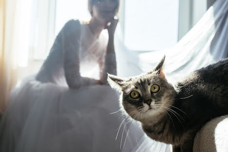 Vestuvių fotografas Vladislav Layt (vllayt). Nuotrauka 2020 lapkričio 12