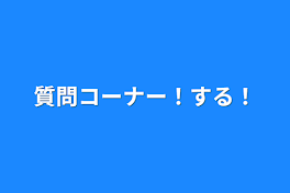 質問コーナー！する！