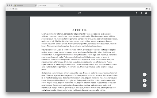 Canvas PDF Window