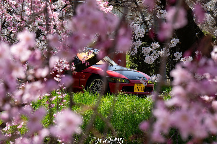 ビートのサクラと愛車に関するカスタム事例の投稿画像2枚目