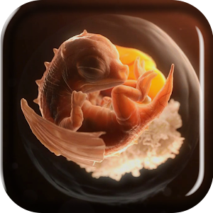 Embryo Dragon Live Wallpaper.apk 3.0