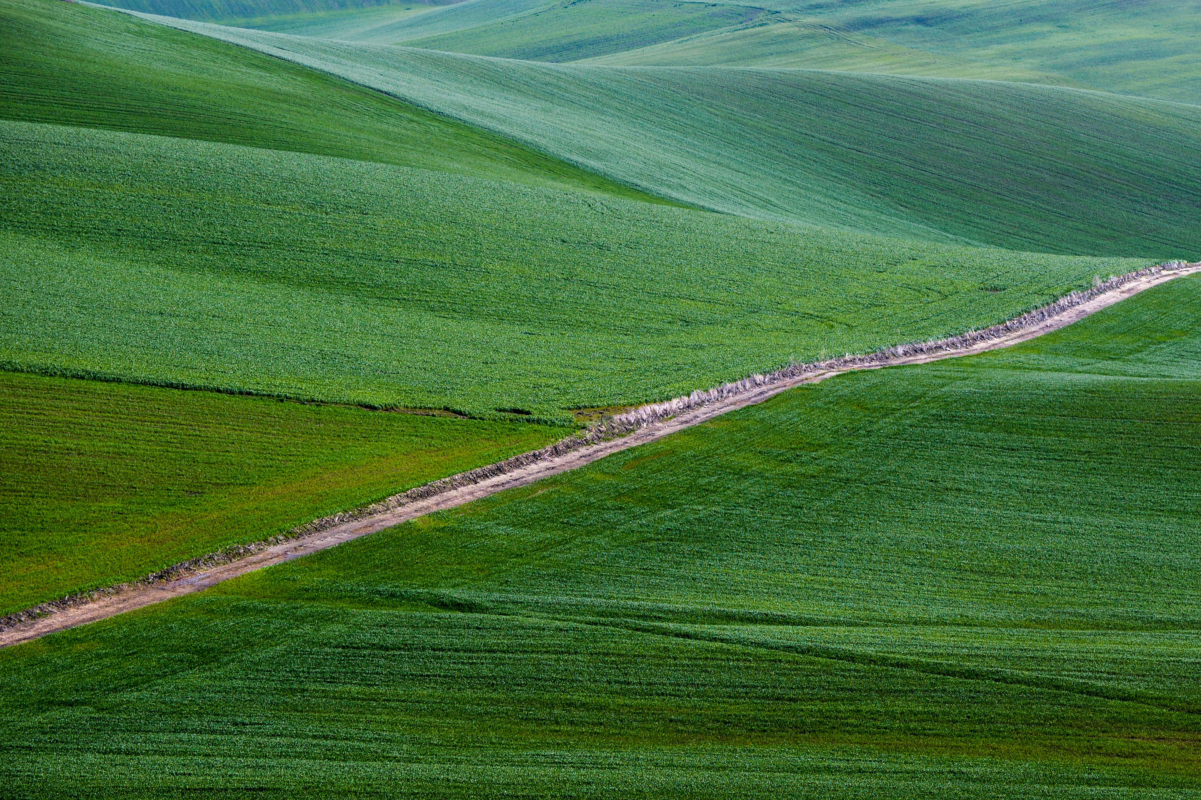 Colline per il desktop di Diana Cimino Cocco