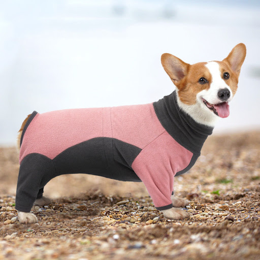 Title 4, Cold Proof and Warm Dog Clothes for Pets in Win...