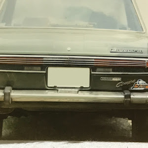 ブルーバード