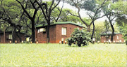 Acacia Park Wildlife Resort