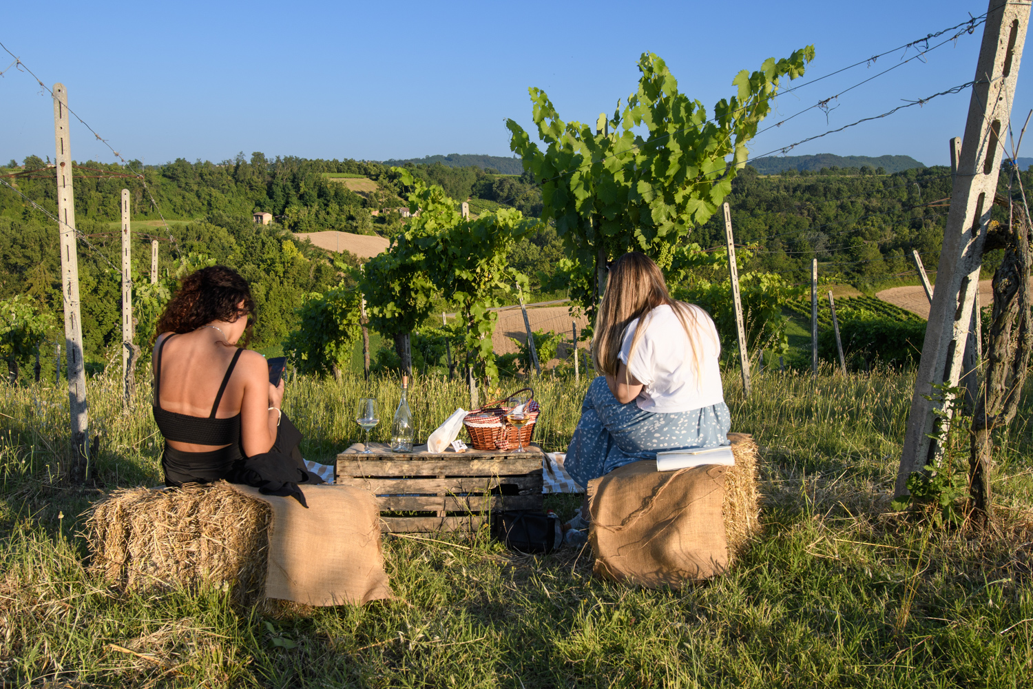 picnic in vigna di francescafiorani