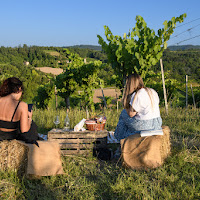 picnic in vigna di francescafiorani