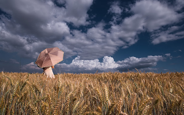 Arriva il temporale? di Dariagufo