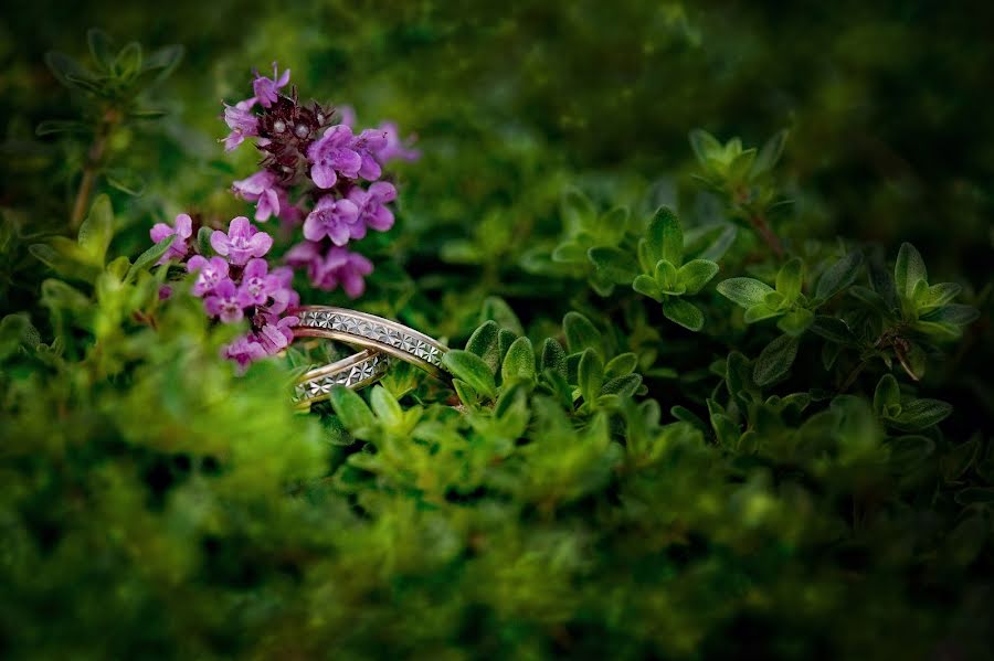 Fotógrafo de casamento Ilona Nikolaeva (nikolajeva). Foto de 16 de agosto 2015