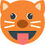 Funny Cat Emoji HD Wallpapers New Tab Theme