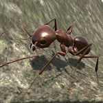 Cover Image of Télécharger Ant Simulation 3D - Jeu de survie d'insectes 3.1 APK