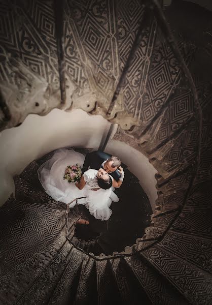 Wedding photographer Aleksey Novikov (alexnovikov). Photo of 21 July 2017