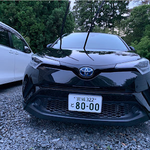 C-HR ZYX10