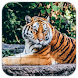 Tile Puzzles · Wild Animals - Androidアプリ