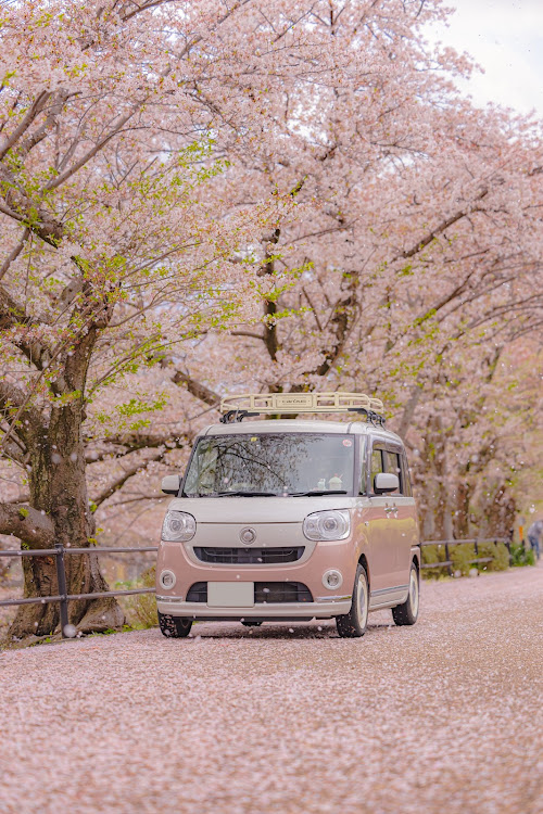 ムーヴキャンバスの桜コラボ・桜と愛車・お花見ドライブ・ドライブに関するカスタム事例の投稿画像5枚目